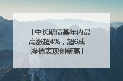 中长期债基年内最高涨超4%，超6成净值表现创新高