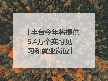 丰台今年将提供6.4万个实习见习和就业岗位