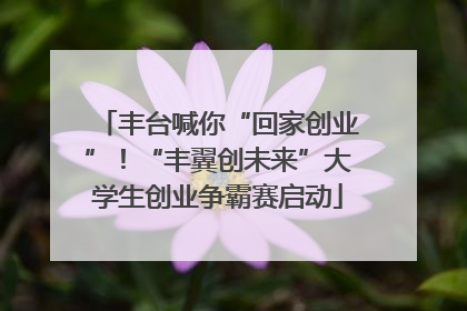 丰台喊你“回家创业”！“丰翼创未来”大学生创业争霸赛启动