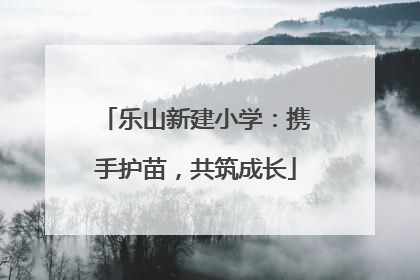 乐山新建小学：携手护苗，共筑成长
