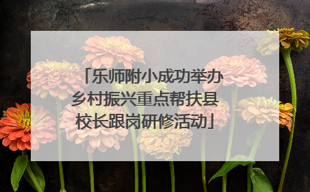 乐师附小成功举办乡村振兴重点帮扶县校长跟岗研修活动