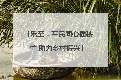 乐至：军民同心插秧忙 助力乡村振兴