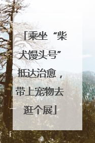 乘坐“柴犬馒头号”抵达治愈，带上宠物去逛个展