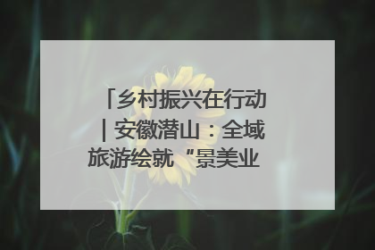 乡村振兴在行动｜安徽潜山：全域旅游绘就“景美业兴民富”新画卷