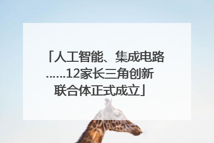 人工智能、集成电路……12家长三角创新联合体正式成立