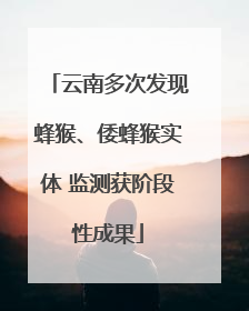 云南多次发现蜂猴、倭蜂猴实体 监测获阶段性成果