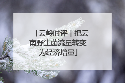 云岭时评｜把云南野生菌流量转变为经济增量