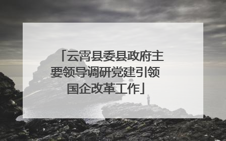 云霄县委县政府主要领导调研党建引领国企改革工作
