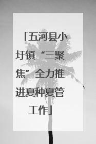 五河县小圩镇“三聚焦”全力推进夏种夏管工作
