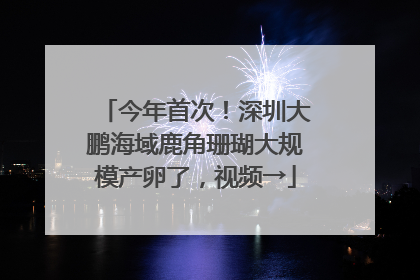 今年首次！深圳大鹏海域鹿角珊瑚大规模产卵了，视频→