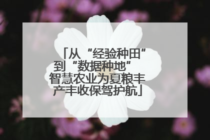 从“经验种田”到“数据种地” 智慧农业为夏粮丰产丰收保驾护航