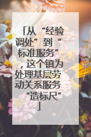 从“经验调处”到“标准服务”，这个镇为处理基层劳动关系服务“造标尺”
