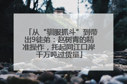 从“驯服抓斗”到带出9徒弟：赵树青的精准操作，托起同江口岸千万吨过货量