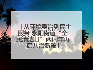 从环境整治到民生服务 永阳街道“全民清洁日”两周年再启共治新篇