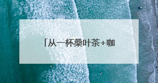 从一杯桑叶茶+咖啡 四川乐至如何端出助企发展的诚意