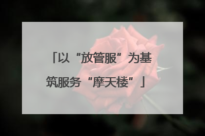 以“放管服”为基筑服务“摩天楼”