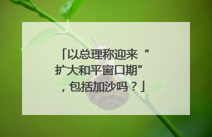 以总理称迎来“扩大和平窗口期”，包括加沙吗？