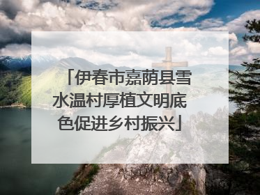 伊春市嘉荫县雪水温村厚植文明底色促进乡村振兴