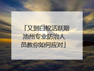 又到白蚁活跃期 池州专业防治人员教你如何应对