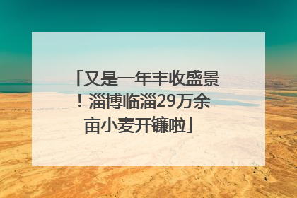 又是一年丰收盛景！淄博临淄29万余亩小麦开镰啦