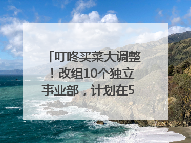 叮咚买菜大调整！改组10个独立事业部，计划在5月完成App端全面改版
