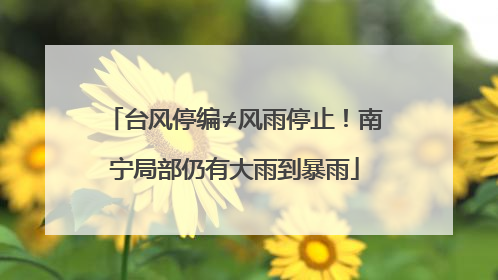 台风停编≠风雨停止！南宁局部仍有大雨到暴雨