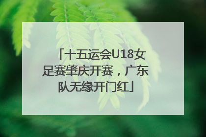 十五运会U18女足赛肇庆开赛，广东队无缘开门红