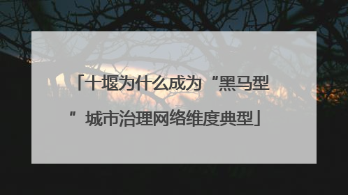 十堰为什么成为“黑马型”城市治理网络维度典型