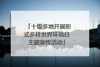 十堰多地开展形式多样世界环境日主题宣传活动