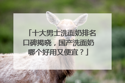 十大男士洗面奶排名口碑揭晓，国产洗面奶哪个好用又便宜？