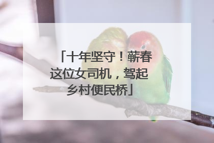 十年坚守！蕲春这位女司机，驾起乡村便民桥