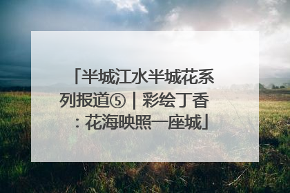 半城江水半城花系列报道⑤｜彩绘丁香：花海映照一座城