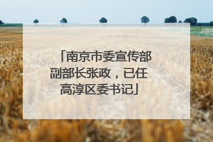 南京市委宣传部副部长张政，已任高淳区委书记