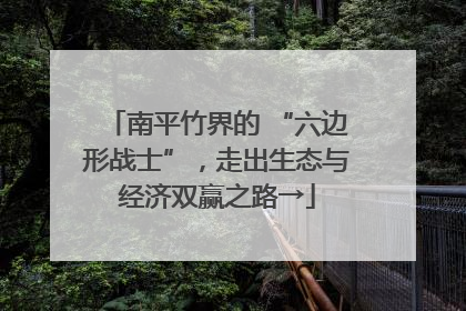 南平竹界的 “六边形战士”，走出生态与经济双赢之路→