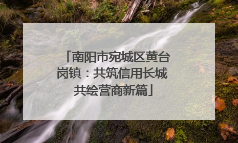 南阳市宛城区黄台岗镇：共筑信用长城 共绘营商新篇