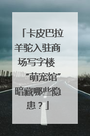 卡皮巴拉羊驼入驻商场写字楼 “萌宠馆”暗藏哪些隐患？