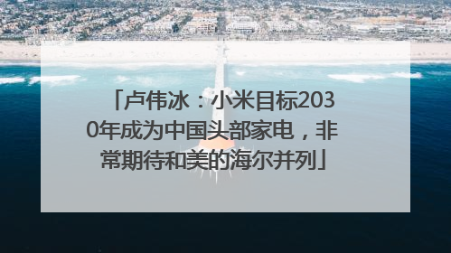 卢伟冰：小米目标2030年成为中国头部家电，非常期待和美的海尔并列