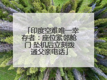 印度空难唯一幸存者：座位紧邻舱门 坠机后立刻拨通父亲电话
