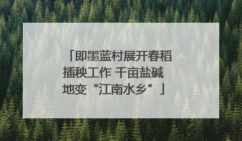 即墨蓝村展开春稻插秧工作 千亩盐碱地变“江南水乡”
