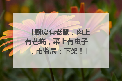 厨房有老鼠，肉上有苍蝇，菜上有虫子，市监局：下架！