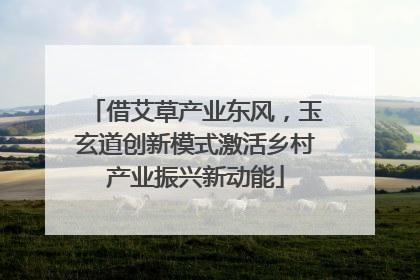 借艾草产业东风，玉玄道创新模式激活乡村产业振兴新动能