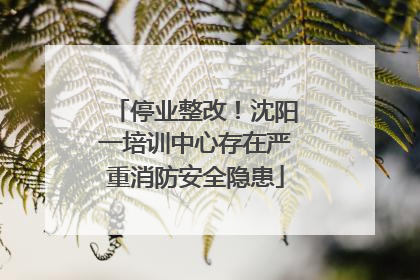 停业整改！沈阳一培训中心存在严重消防安全隐患