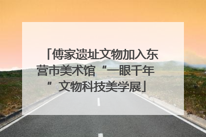 傅家遗址文物加入东营市美术馆“一眼千年”文物科技美学展