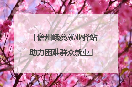 儋州峨蔓就业驿站助力困难群众就业