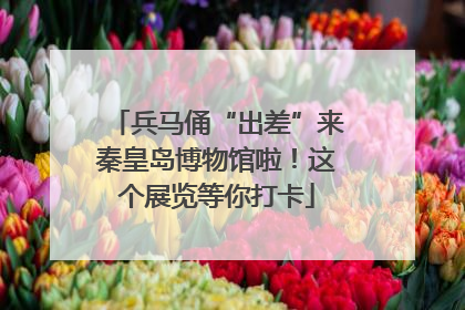 兵马俑“出差”来秦皇岛博物馆啦！这个展览等你打卡