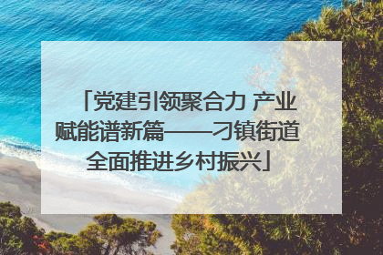 党建引领聚合力 产业赋能谱新篇——刁镇街道全面推进乡村振兴