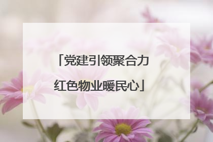 党建引领聚合力 红色物业暖民心