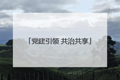党建引领 共治共享