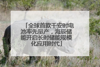 全球首款千安时电池率先量产，海辰储能开启长时储能规模化应用时代
