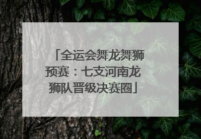 全运会舞龙舞狮预赛：七支河南龙狮队晋级决赛圈